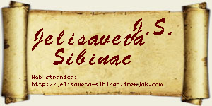 Jelisaveta Šibinac vizit kartica